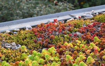 the cost of Black Notley green roof installation